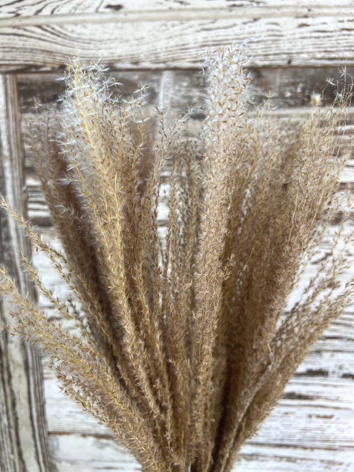 Natural Horsetail