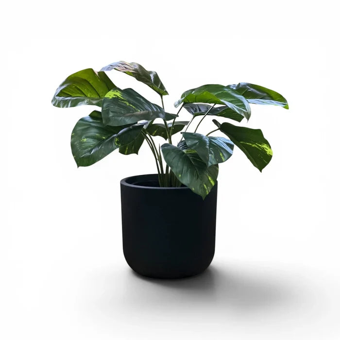 Newport Planter S 29.5x28 Black With Dieffenbacchia 52cm