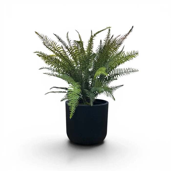 Newport Planter S 29.5x28 Black With Fern Bundle 81cm