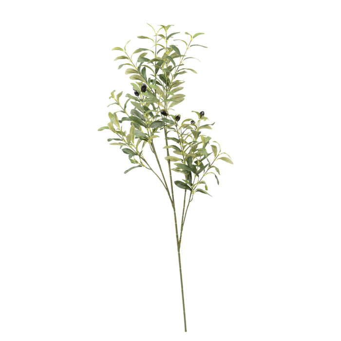 Olive Branch with Fruit - 98cm
