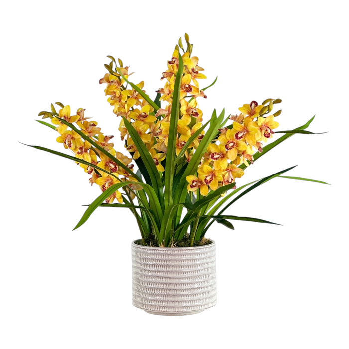 Orchid Cymbidium Yellow in Beige Ceramic