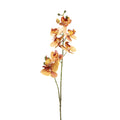 Orchid Phalaenopsis Orange - 72cm