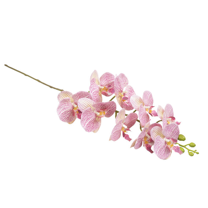 Orchid Phalaenopsis Pink White Stem - 90cm