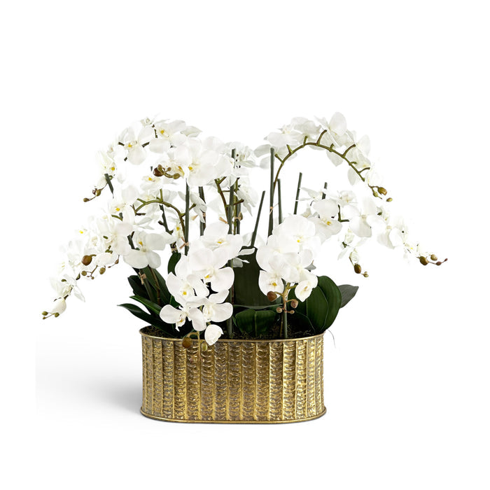 White faux Pahlaenopsis orchids in a Gold metal planter on a white background