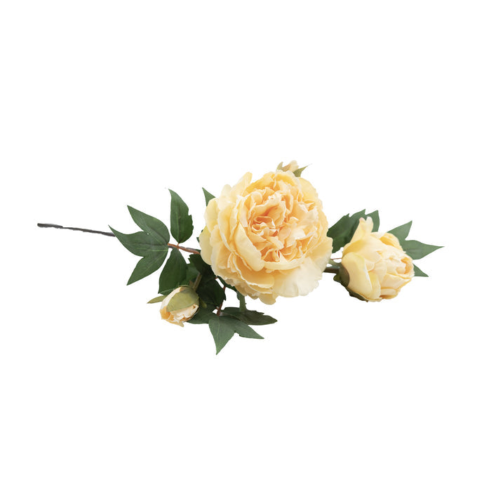 Peony Beige Yellow Silk Flower Stem - 65cm