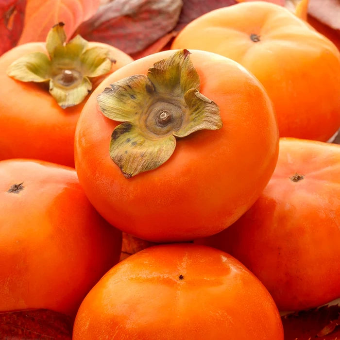 Persimmon Fuyu Imoto