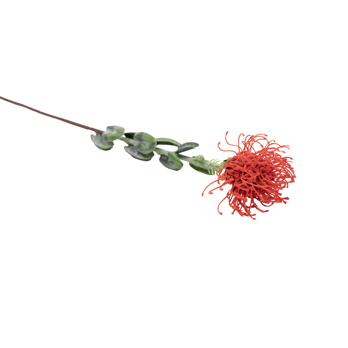 Pincushion Orange Flower Stem - 60cm