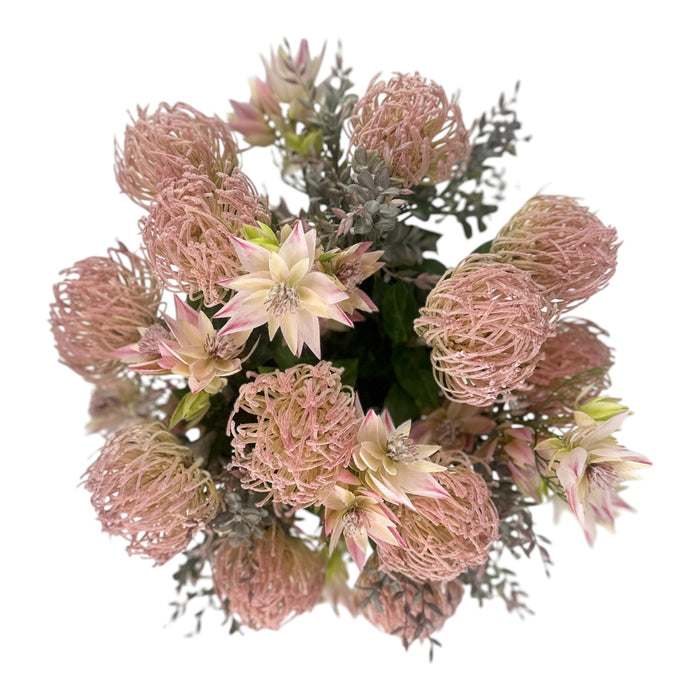 Pincushion Pink and Blushing Bride Protea Arrangement in Planter