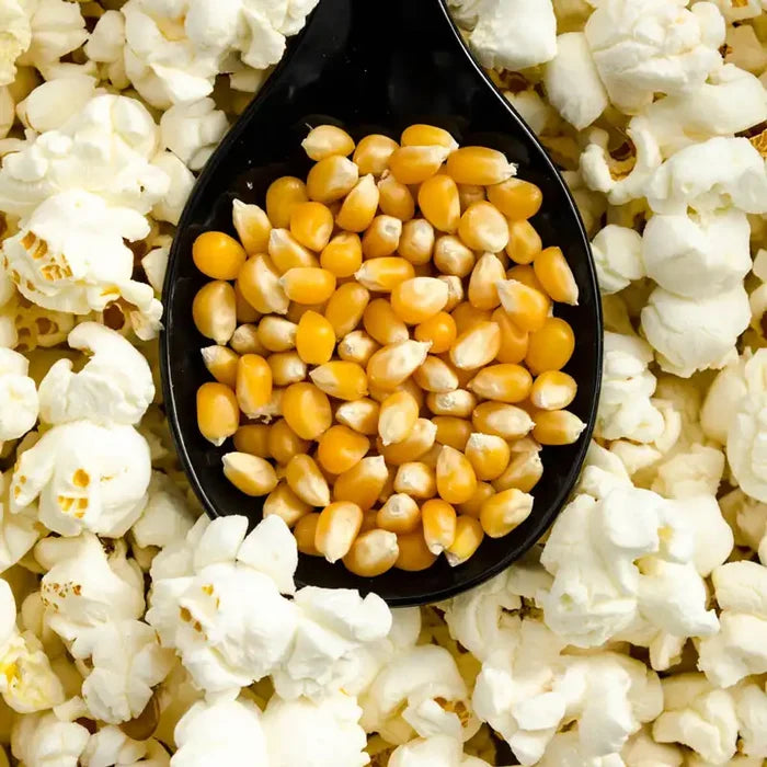 Pops the Lid Off Hybrid Popcorn Seed