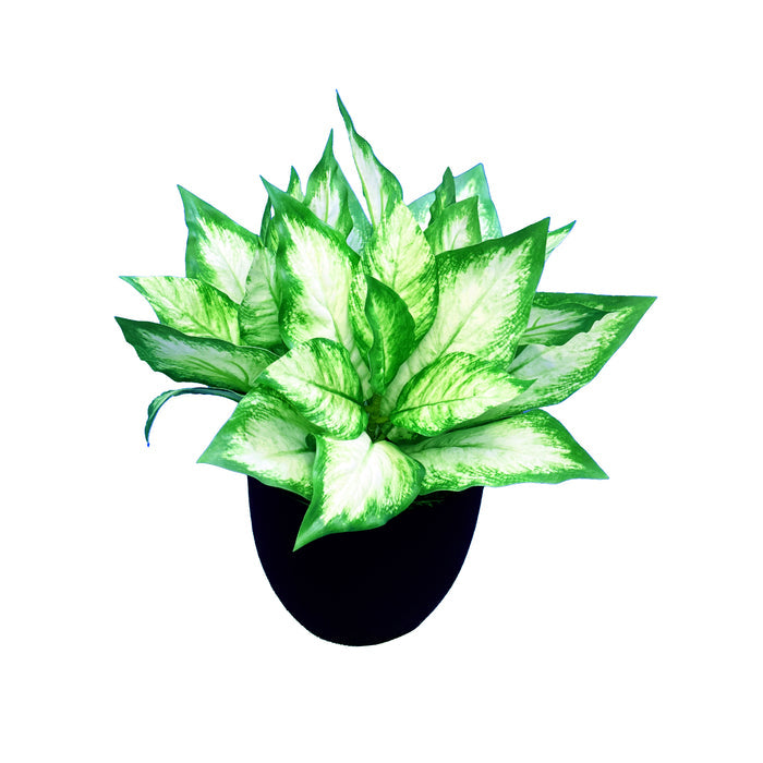 Artificial Potted Diffenbachia 44cm