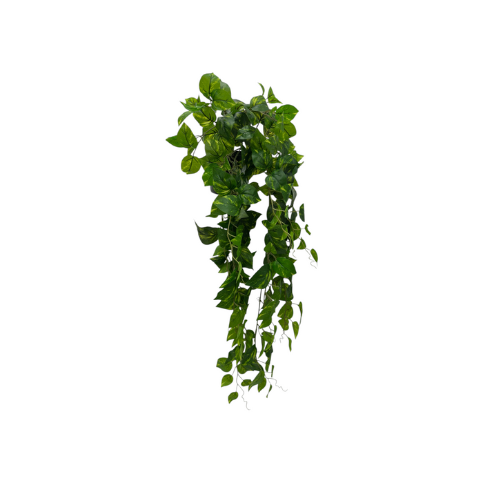 POTTED FRESH POTHOS 92CM S