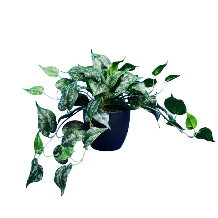 POTTED FAUX SCINDAPSIS 40CM