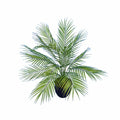 Potted Palm Leaves Bush - 80cm M