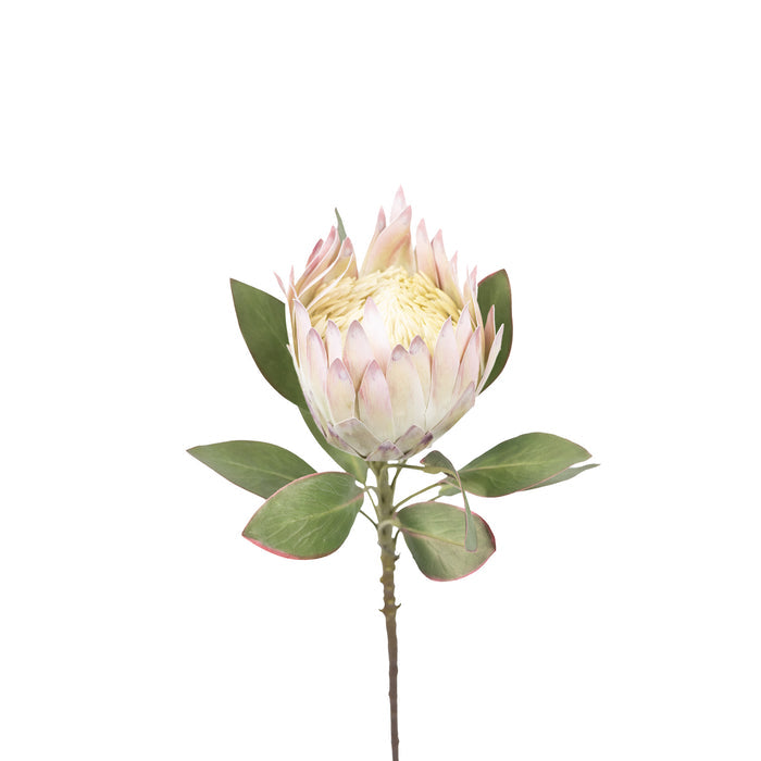Protea Pink Green Silk Flower Stem - 75cm. Close up view of flower with subtle pink and green. Available from Plant Couture.