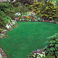 Quicklawn Grass Seed