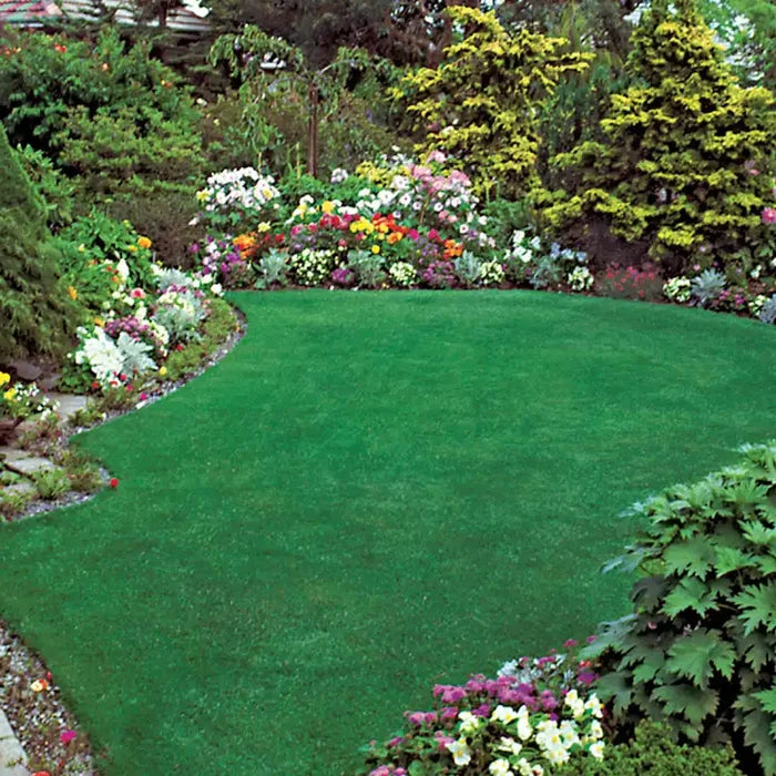 Quicklawn Grass Seed