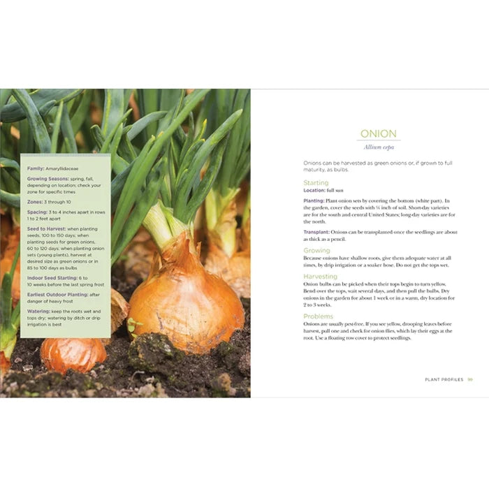 Raised - Bed Gardening For Beginners