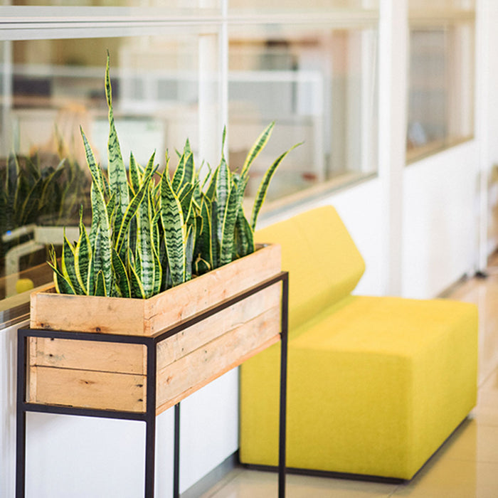 Reclaimed TPlant Couture - Artificial Plant Pot - Reclaimed Timber Trough with Steel Stand 130x35x90cm - Lifestyle Image With Artificial Sansevieria