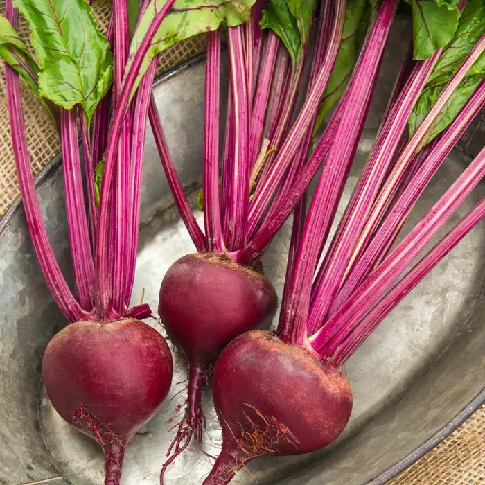 Red, White & Gold Beet Mix