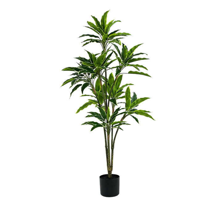 Potted faux Rhodea plant with green variegated leaves on a white background