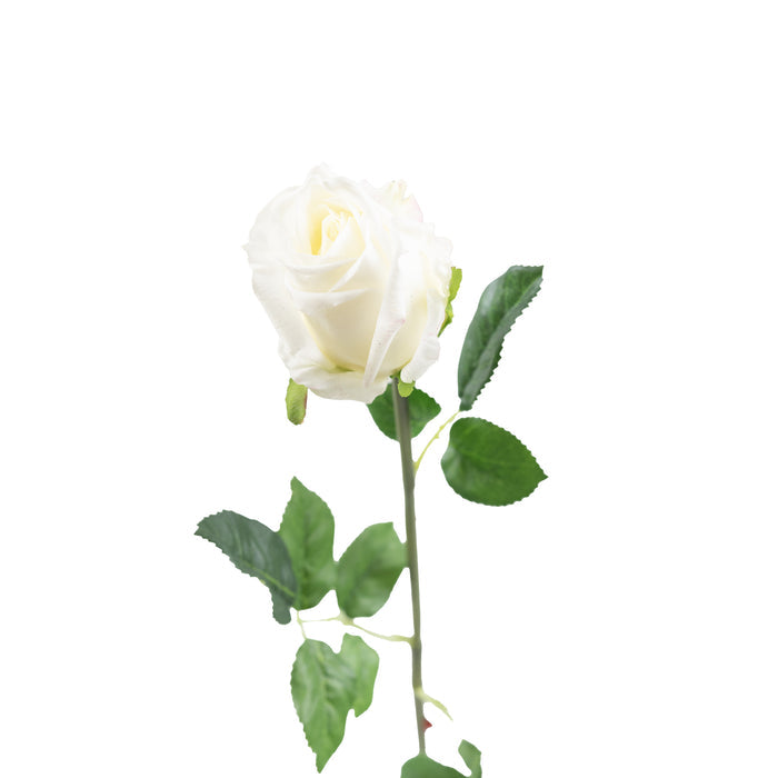 Rose White Semi Open Stem - 65cm