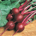 Ruby Queen Beet Seed