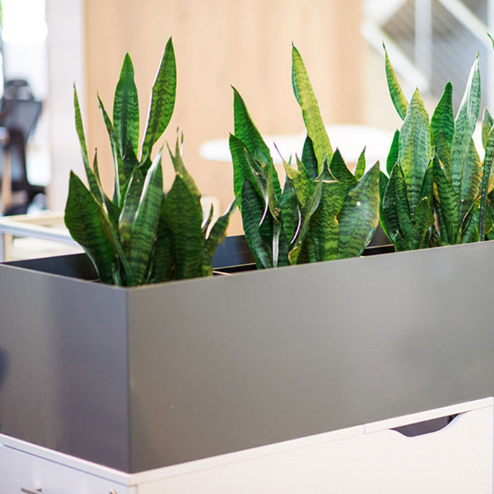 Plant Couture - Artificial Plant Pot - Short Trough Mild Steel Planter 120x30x30cm - Front