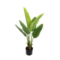 Potted faux Strelitzia plant 90cm with large green leaves on a white background