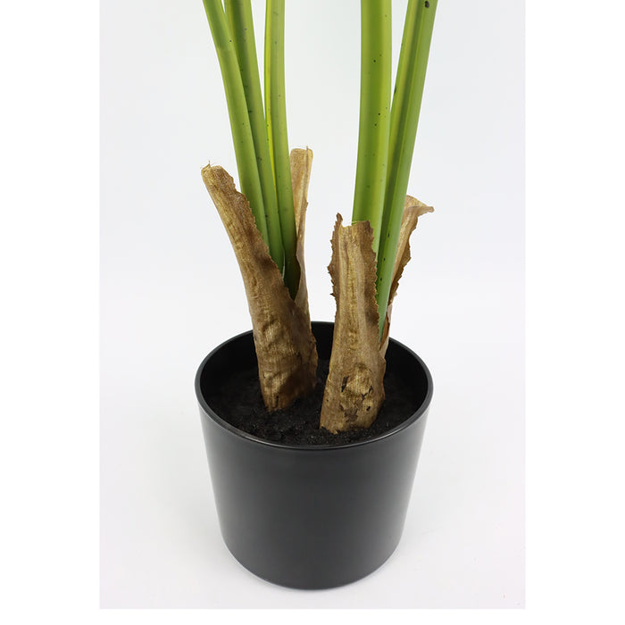 Strelitzia Tree real touch 90cm