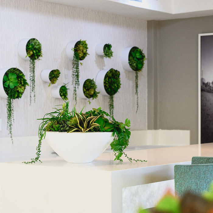 Plant Couture - Artificial Plant Pot - Strelli - Desk Bowl - Lifestyle Image