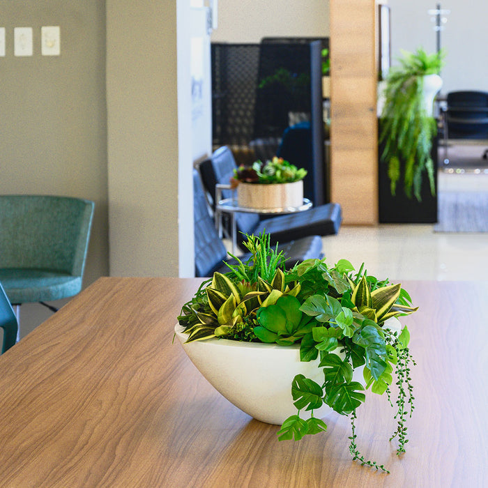 Plant Couture - Artificial Plant Pot - Strelli - Desk Bowl - Lifestyle Image 2