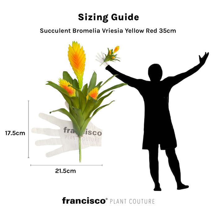 Succulent Bromelia Vriesia Yellow Red 35cm