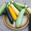 Summer Bounty Hybrid Summer Squash Seed Blend