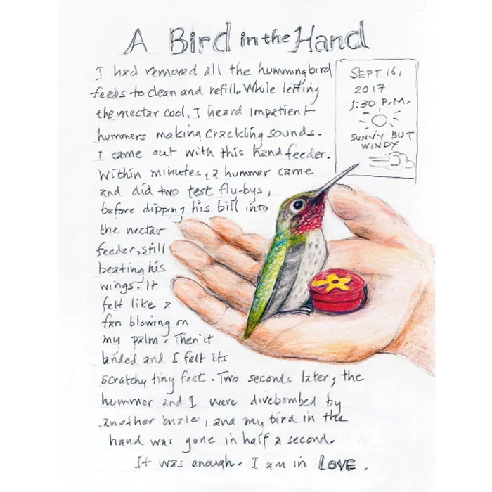 The Backyard Bird Chronicles