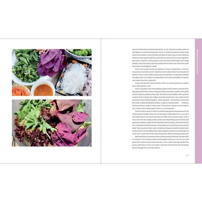 The Curious Kitchen Gardener
