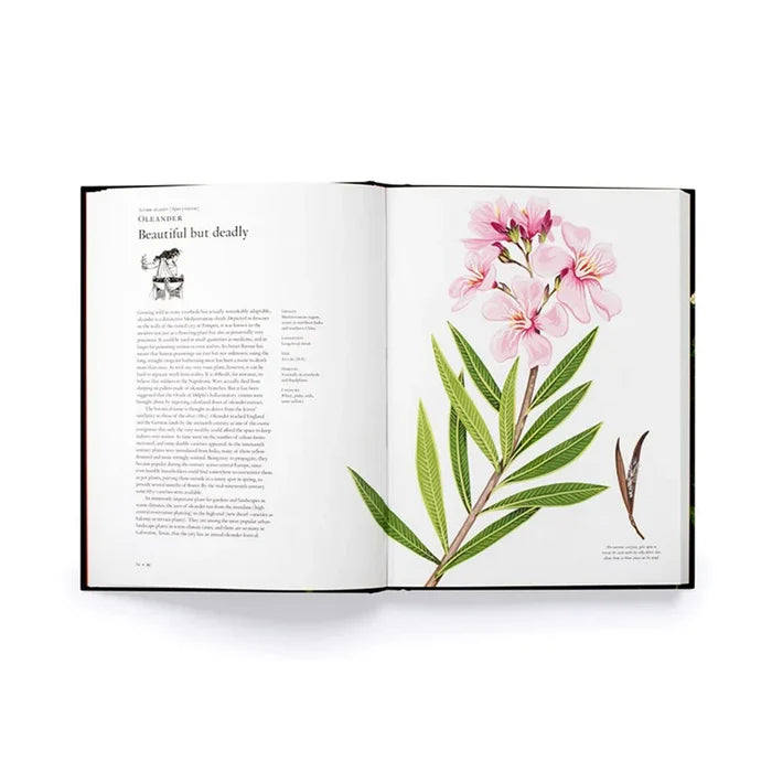 The Story of Flowers and How They Changed the Way We Live