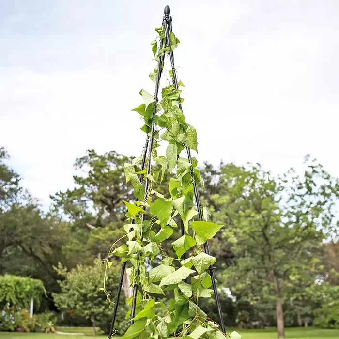 Titan Teepee Trellis