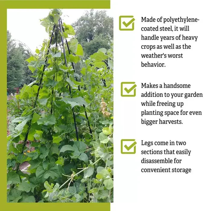 Titan Teepee Trellis