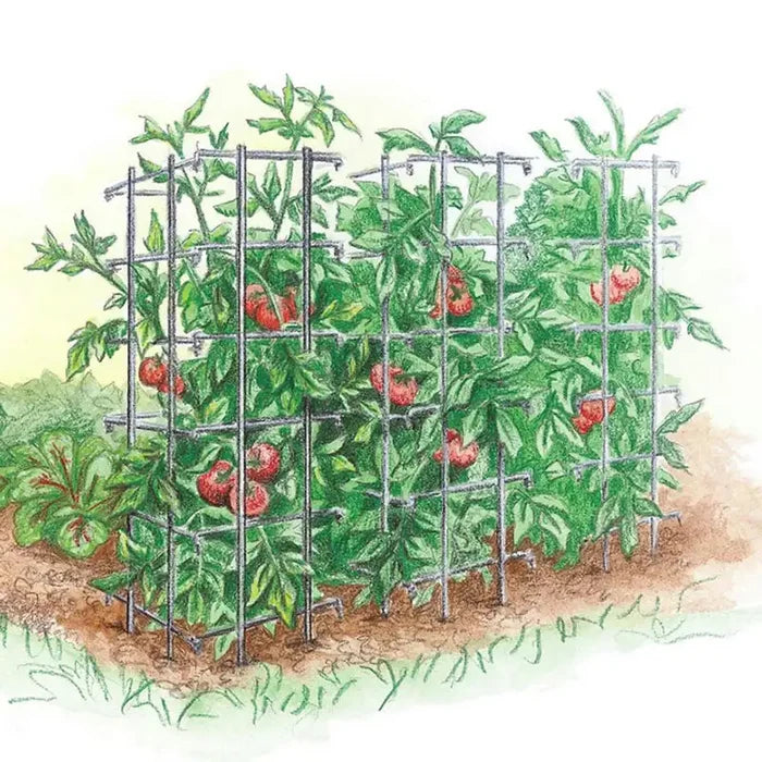 Tomato Cage - Plant Trellis