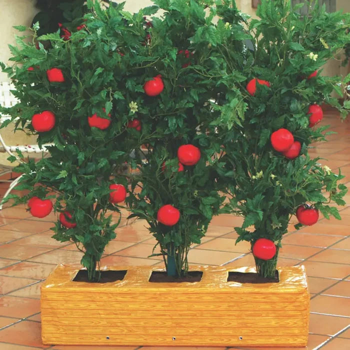 Tomato Factory