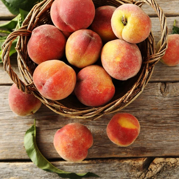 TruGold™ Peach Tree
