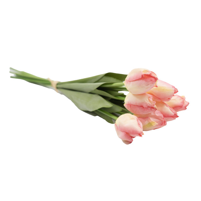 Light Pink Bunch of Tulips available from Plant Couture
