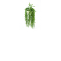 Plant Couture - Artificial Plant & Pot Combo - Valli Hanging Pot with Hanging Grass Bush