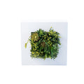 Plant Couture - Artificial Plant & Pot Combo - Wall Box Mild Steel with Succulents - Single