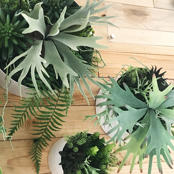 Plant Couture - Artificial Plant & Pot Combo - Wall Ring Set - Combination 2