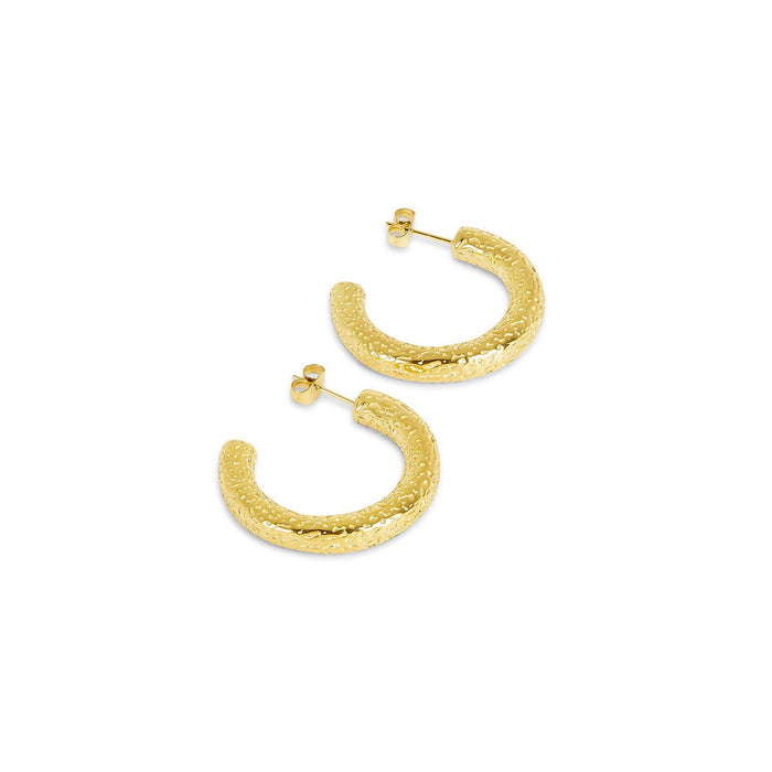 Women's Stainless Steel 18K Gold-Plated Earrings – Hoop Textured Hoop Earring – Meiva earrings