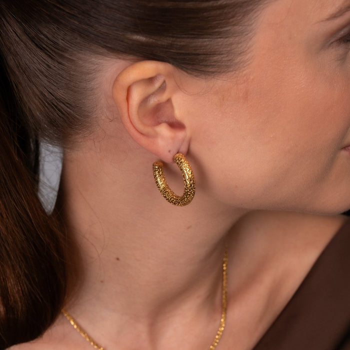Women's Stainless Steel 18K Gold-Plated Earrings – Hoop Textured Hoop Earring – Meiva earrings view 3