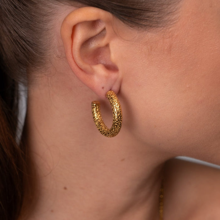 Women's Stainless Steel 18K Gold-Plated Earrings – Hoop Textured Hoop Earring – Meiva earrings view 4