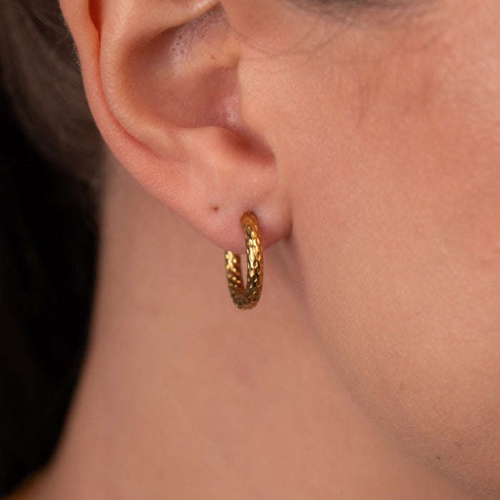 Women's Stainless Steel 18K Gold-Plated Earrings – Hoop Textured Hoop – Meiva earrings view 3