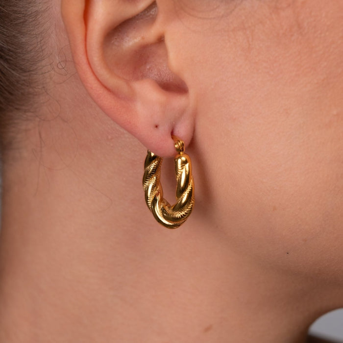 Women's Stainless Steel 18K Gold-Plated Earrings – Hoop Twisted Hoop – Meiva earrings view 5